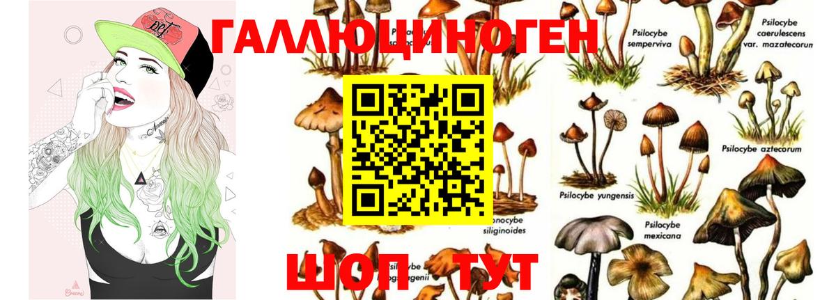 Галлюциногенные грибы Psilocybe  Галлюциногенные грибы Magic Shrooms  Сергиев Посад  Вход с VPN 