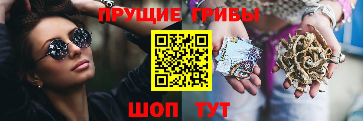 Псилоцибиновые грибы Psilocybe Сергиев Посад